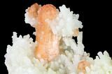 Peach Stilbite Crystals on Sparkling Quartz Chalcedony - India #168836-1